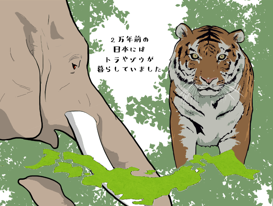 2万年前には日本にはトラやゾウが暮らしていました
