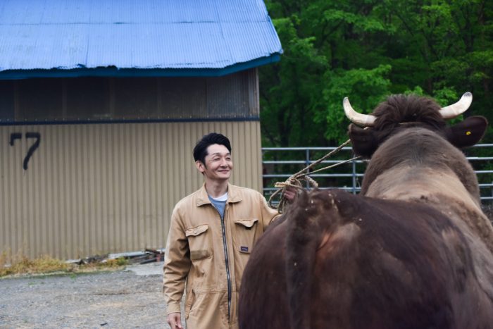 短角牛を育てる柿木さん